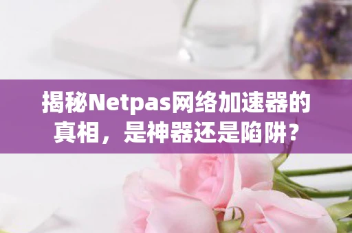 揭秘Netpas网络加速器的真相，是神器还是陷阱？