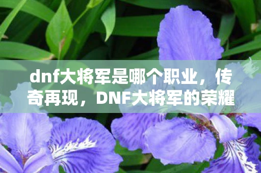 dnf大将军是哪个职业，传奇再现，DNF大将军的荣耀与传奇