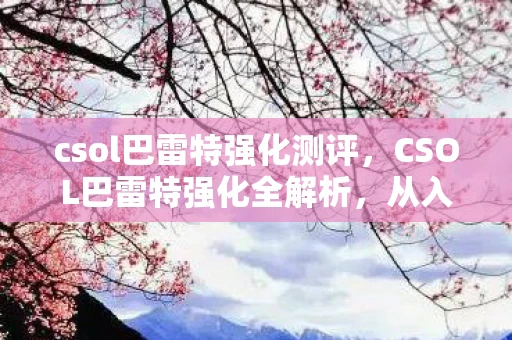 csol巴雷特强化测评，CSOL巴雷特强化全解析，从入门到精通的全方位指南