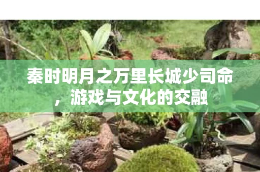 秦时明月之万里长城少司命图片