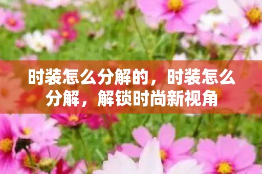 时装怎么分解的，时装怎么分解，解锁时尚新视角