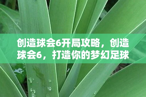 创造球会6开局攻略，创造球会6，打造你的梦幻足球帝国