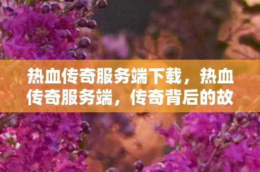 热血传奇服务端下载，热血传奇服务端，传奇背后的故事