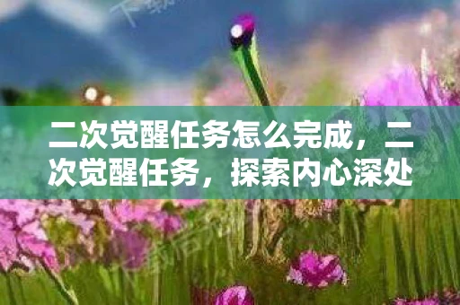 二次觉醒任务怎么完成，二次觉醒任务，探索内心深处的自我