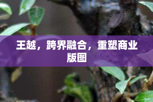 王越，跨界融合，重塑商业版图