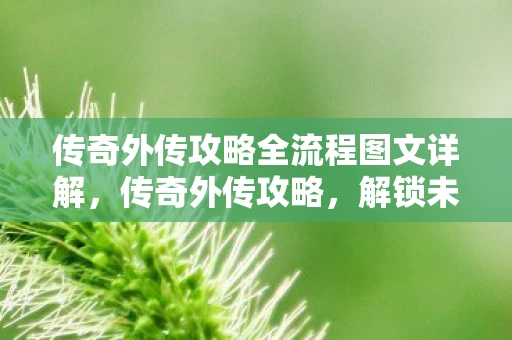 传奇外传攻略全流程图文详解，传奇外传攻略，解锁未知世界的秘密