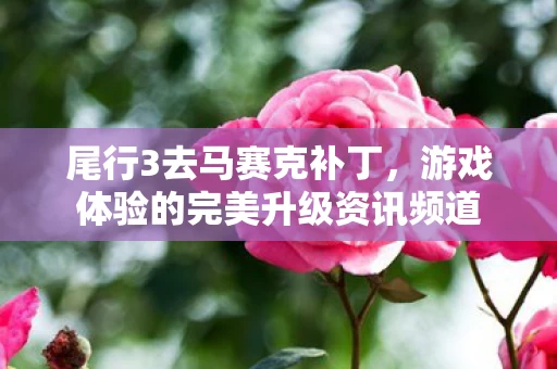 游戏体验的完美升级资讯频道图片