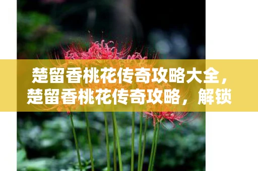 楚留香桃花传奇攻略大全，楚留香桃花传奇攻略，解锁江湖奇遇，成就桃花传奇
