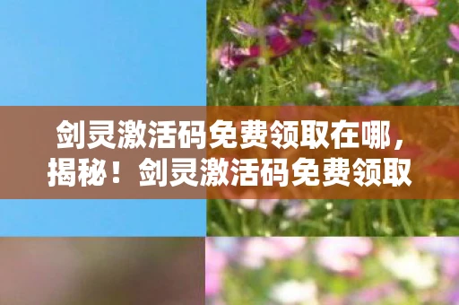 剑灵激活码免费领取在哪，揭秘！剑灵激活码免费领取的真相与攻略