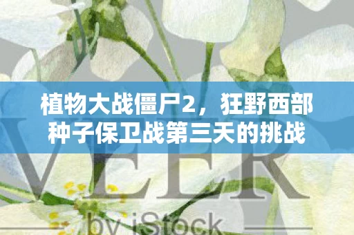 狂野西部种子保卫战第三天的挑战图片