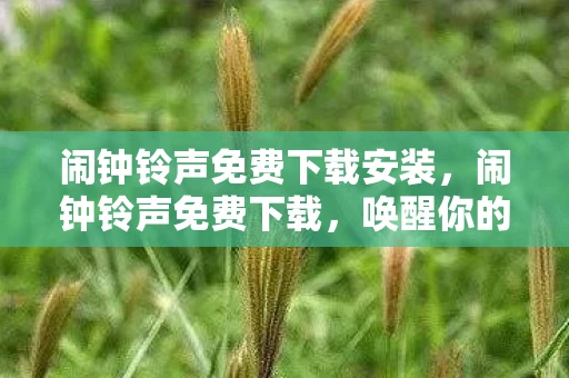 闹钟铃声免费下载安装，闹钟铃声免费下载，唤醒你的每一个清晨