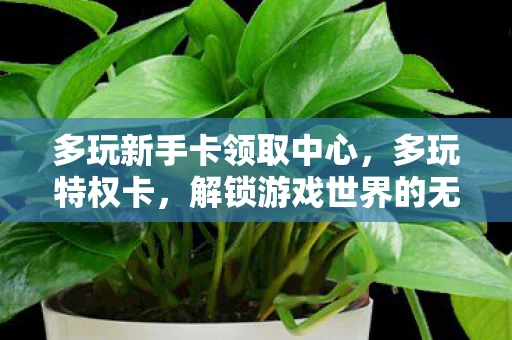 多玩新手卡领取中心，多玩特权卡，解锁游戏世界的无限可能