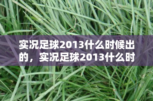 实况足球2013什么时候出的，实况足球2013什么时候出？揭秘游戏发布时间表