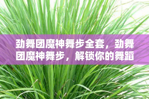 劲舞团魔神舞步全套，劲舞团魔神舞步，解锁你的舞蹈潜能