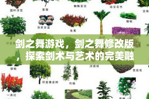 剑之舞游戏，剑之舞修改版，探索剑术与艺术的完美融合