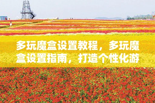 多玩魔盒设置教程，多玩魔盒设置指南，打造个性化游戏体验