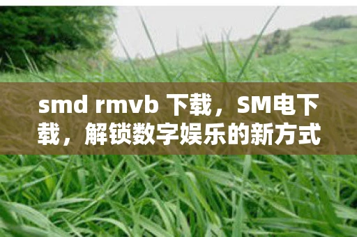 smd rmvb 下载，SM电下载，解锁数字娱乐的新方式