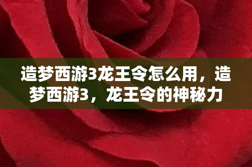 造梦西游3龙王令怎么用，造梦西游3，龙王令的神秘力量