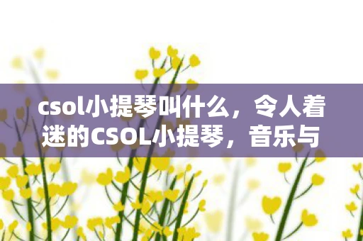 csol小提琴叫什么，令人着迷的CSOL小提琴，音乐与游戏的完美结合