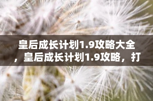 皇后成长计划1.9攻略大全，皇后成长计划1.9攻略，打造你的宫廷之路