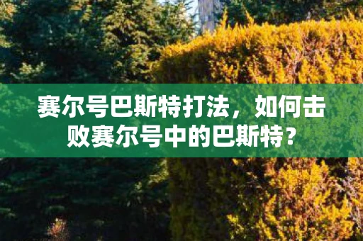 赛尔号巴斯特打法，如何击败赛尔号中的巴斯特？