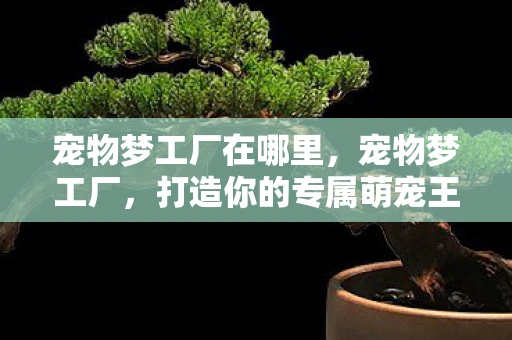 宠物梦工厂在哪里，宠物梦工厂，打造你的专属萌宠王国