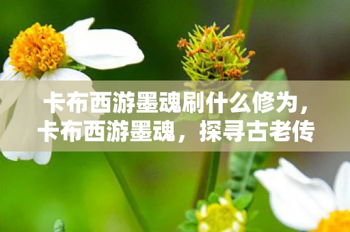 卡布西游墨魂刷什么修为，卡布西游墨魂，探寻古老传说中的神秘存在