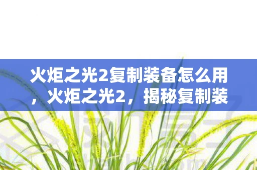 火炬之光2复制装备怎么用，火炬之光2，揭秘复制装备的技巧与风险
