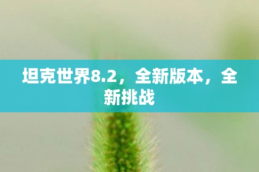 坦克世界8.2，全新版本，全新挑战