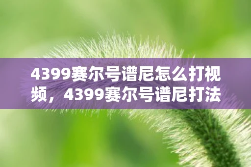 4399赛尔号谱尼怎么打视频，4399赛尔号谱尼打法攻略