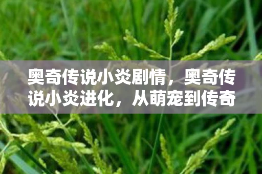 奥奇传说小炎剧情，奥奇传说小炎进化，从萌宠到传奇的华丽蜕变