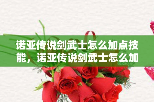 诺亚传说剑武士怎么加点技能，诺亚传说剑武士怎么加点？