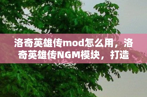 洛奇英雄传mod怎么用，洛奇英雄传NGM模块，打造极致游戏体验的幕后英雄