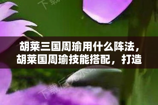 胡莱三国周瑜用什么阵法，胡莱国周瑜技能搭配，打造最强智将