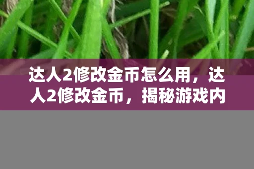 达人2修改金币怎么用，达人2修改金币，揭秘游戏内购的灰色产业链