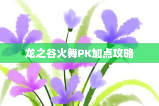 龙之谷火舞PK加点攻略图片