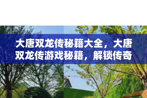 大唐双龙传秘籍大全，大唐双龙传游戏秘籍，解锁传奇之旅