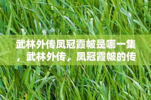 武林外传凤冠霞帔是哪一集，武林外传，凤冠霞帔的传奇故事