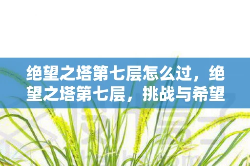 绝望之塔第七层怎么过，绝望之塔第七层，挑战与希望并存