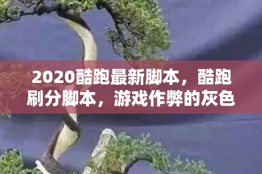 2020酷跑最新脚本，酷跑刷分脚本，游戏作弊的灰色地带
