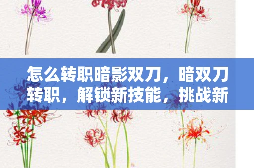 怎么转职暗影双刀，暗双刀转职，解锁新技能，挑战新境界