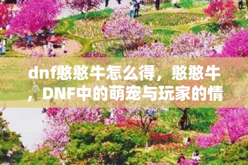 dnf憨憨牛怎么得，憨憨牛，DNF中的萌宠与玩家的情感纽带