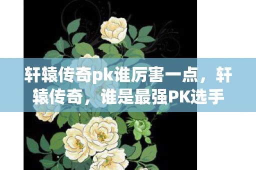 轩辕传奇pk谁厉害一点，轩辕传奇，谁是最强PK选手？