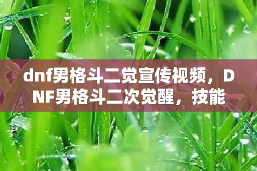 dnf男格斗二觉宣传视频，DNF男格斗二次觉醒，技能与玩法全面解析