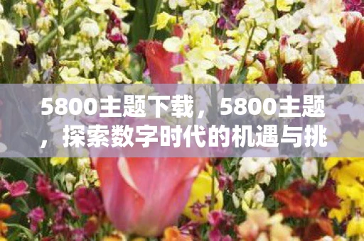 5800主题下载，5800主题，探索数字时代的机遇与挑战