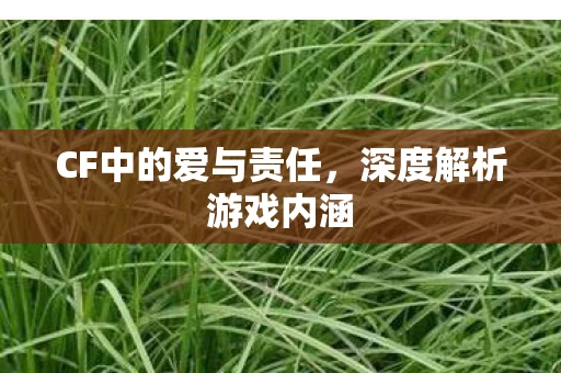 CF中的爱与责任图片