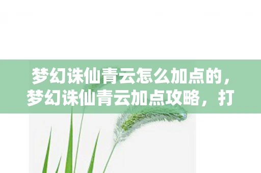 梦幻诛仙青云怎么加点的，梦幻诛仙青云加点攻略，打造最强输出角色