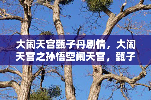 大闹天宫甄子丹剧情，大闹天宫之孙悟空闹天宫，甄子丹版何时上映？