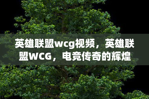 英雄联盟wcg视频，英雄联盟WCG，电竞传奇的辉煌与未来