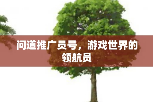 游戏世界的领航员图片